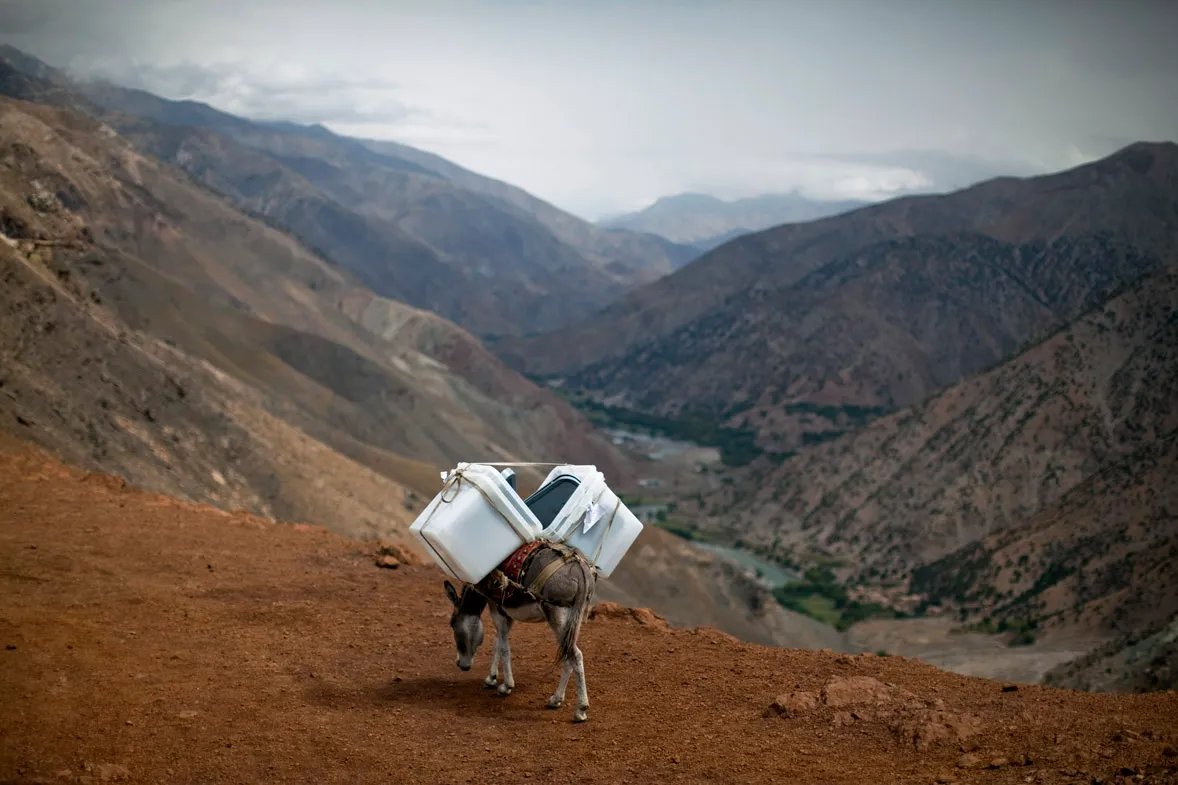 Panjshir Province, Afghanistan: A donkey transports ballot boxes to villages unreachable by vehicles north of Kabul, Sept. 17, 2010. Afghanistan held parliamentary elections on September 18. Voter turnout was lower than in any of the four national elections held in post-Taliban Afghanistan, with violence keeping voter numbers low. Widespread allegations of fraud tainted the final results.