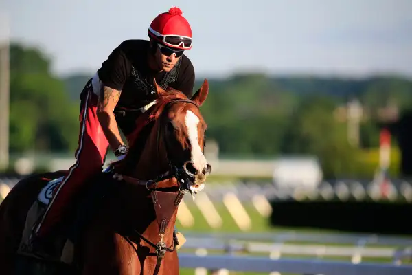 Kentucky Derby and Preakness winner California Chrome