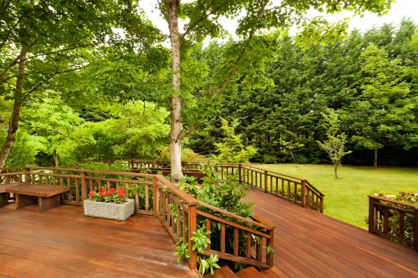 Large Back Deck