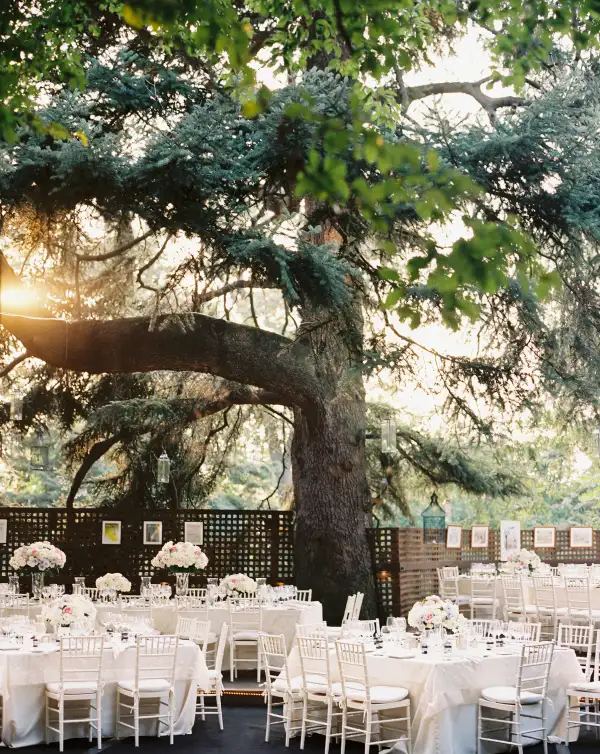 Outdoor wedding venue under a tree