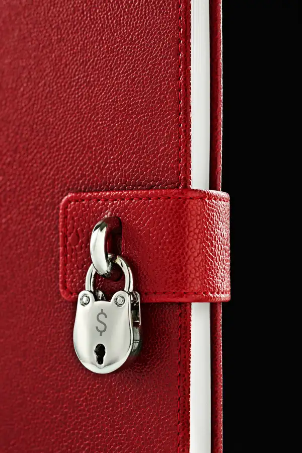 Close up of lock on diary with money symbol