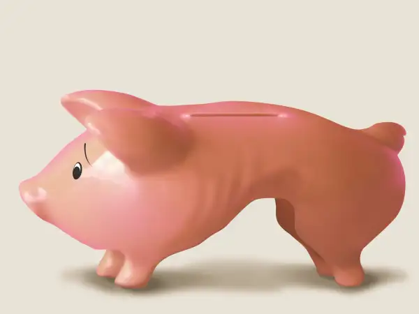 Skinny piggy bank