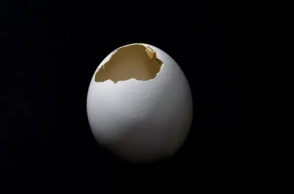 Egg with hole in it