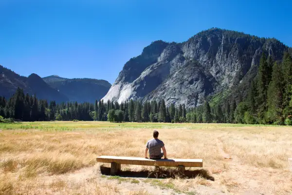 Bench in Yosemite Valley.