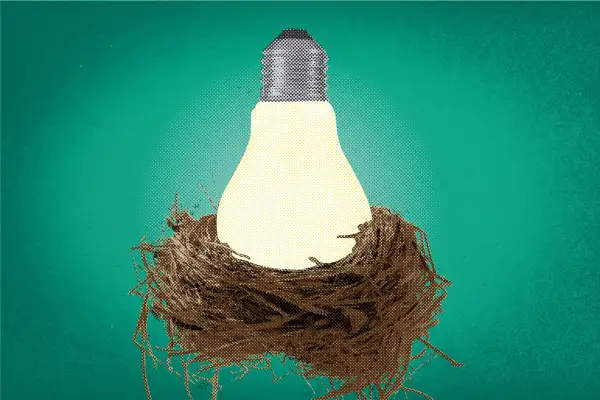 Lightbulb in a nest