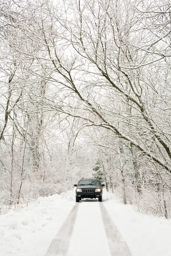 jeep driving through snowy wood scene