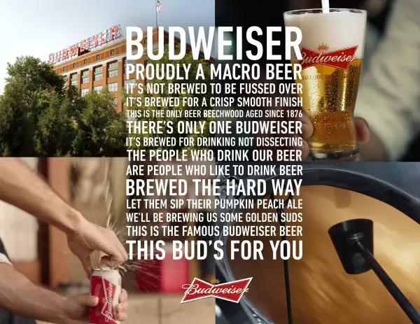 Budweiser Superbowl ad