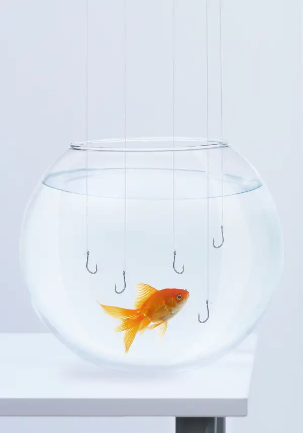 fishing hooks being dropped into fishbowl with goldfish