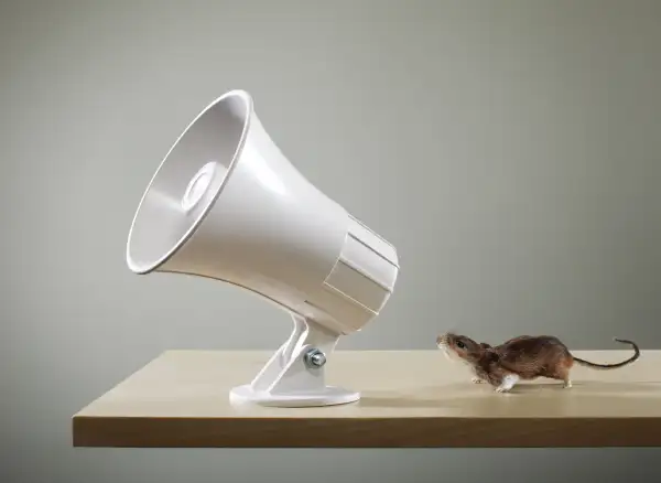 mouse talking into megaphone