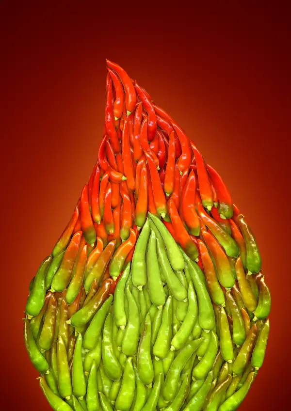 flame made out of still life of jalopeno peppers