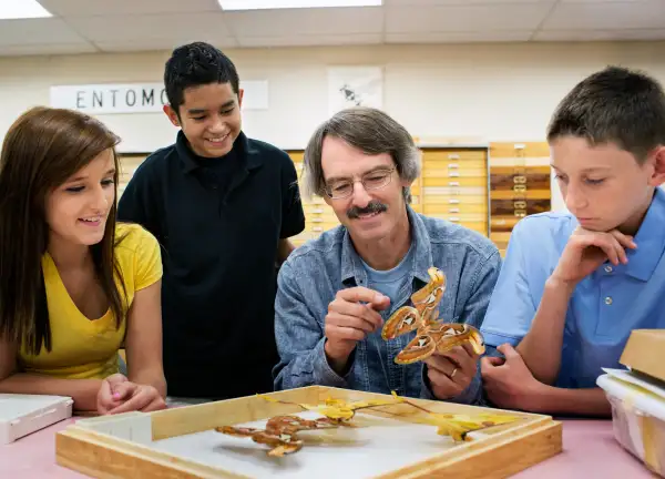 man showing insect specimens to students