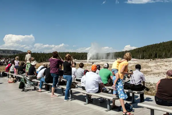 Crowds watch the eruption of Castle Geyser in Yellowstone National Park.