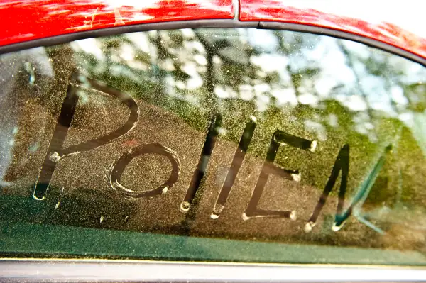 pollen written on windshield covered in pollen