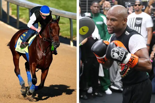 (left) American Pharoah goes over the track during morning training for the Kentucky Derby at Churchill Downs on April 29, 2015 in Louisville, Kentucky. (right) WBC/WBA welterweight champion Floyd Mayweather Jr. works out at the Mayweather Boxing Club on April 14, 2015 in Las Vegas, Nevada. Mayweather Jr. will face WBO welterweight champion Manny Pacquiao in a unification bout on May 2, 2015 in Las Vegas.