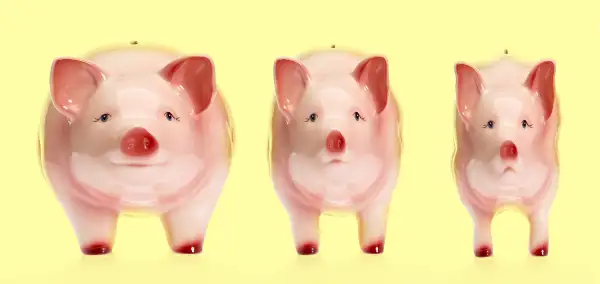 skinny piggy bank