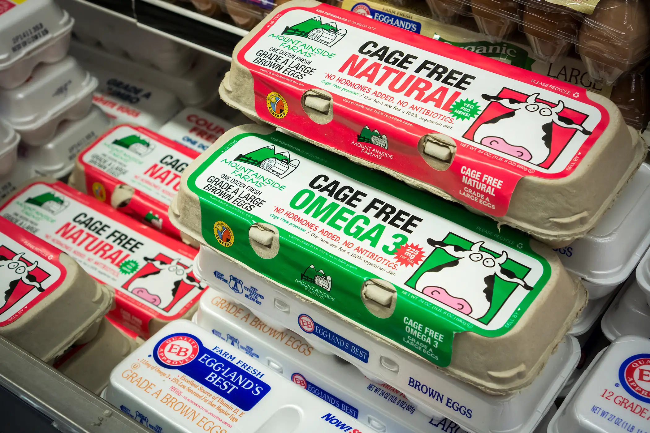 Eggs produced from cage-free hens on sale in a supermarket in New York on Saturday, January 3, 2015. The recent outbreak of Avian Flu which impacted 10% of the egg-laying chickens has cut into the supply of eggs.