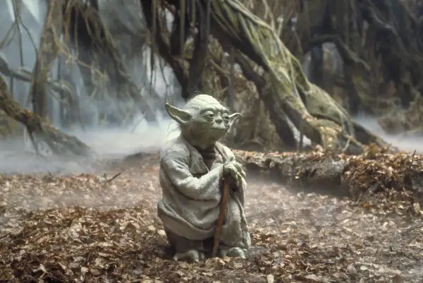 Yoda in Star Wars Episode V: The Empire Strikes Back