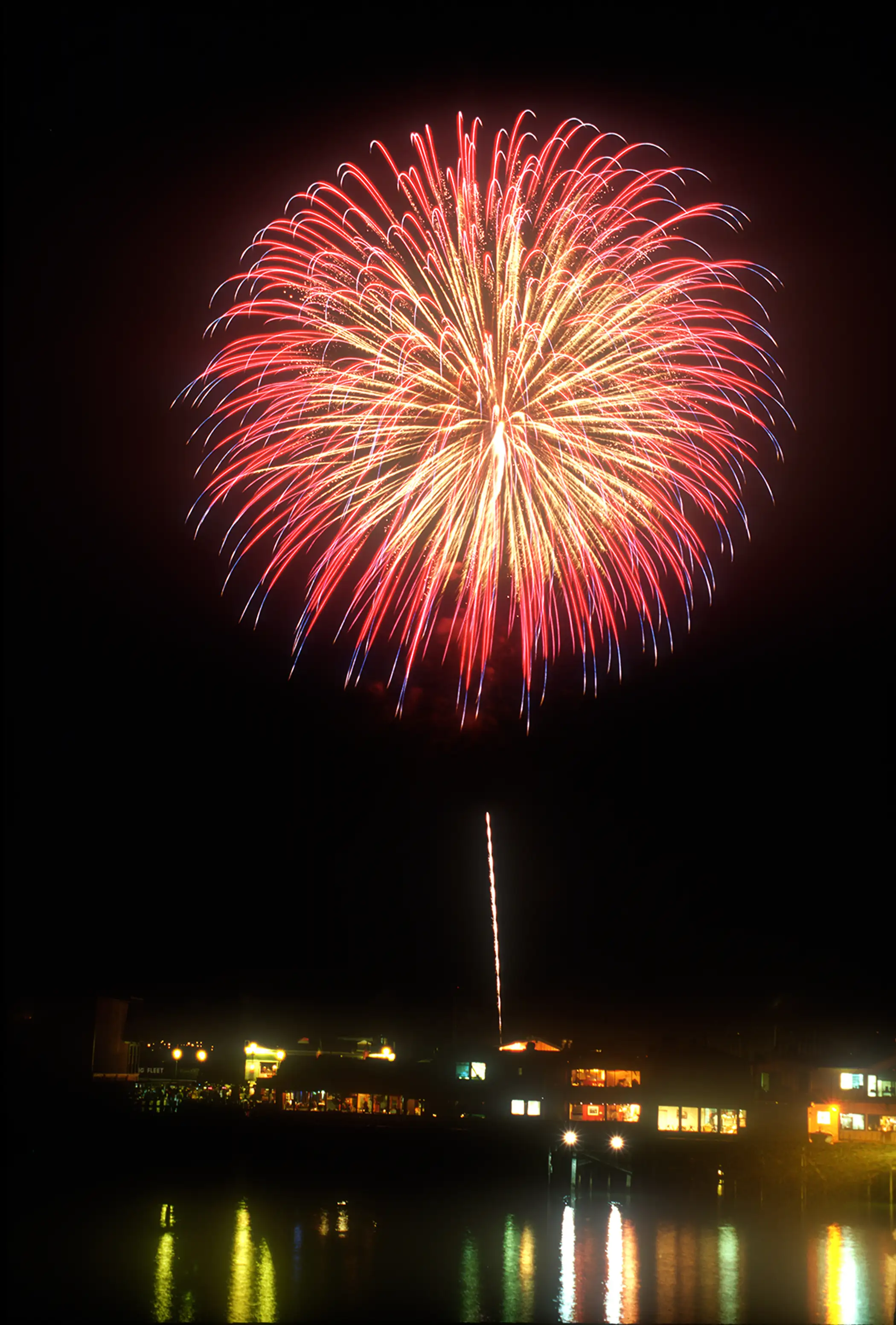 150630_EM_BestBackyardFireworks_Peonies