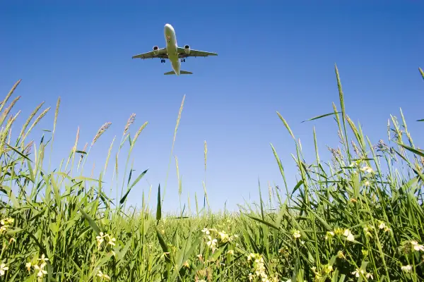 plane flying over field