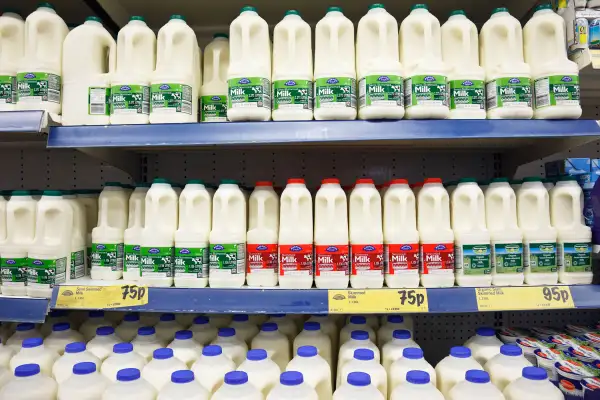 Bottles of fresh skimmed, semi-skimmed and full cream milk for sale on supermarket shelves in the United Kingdom