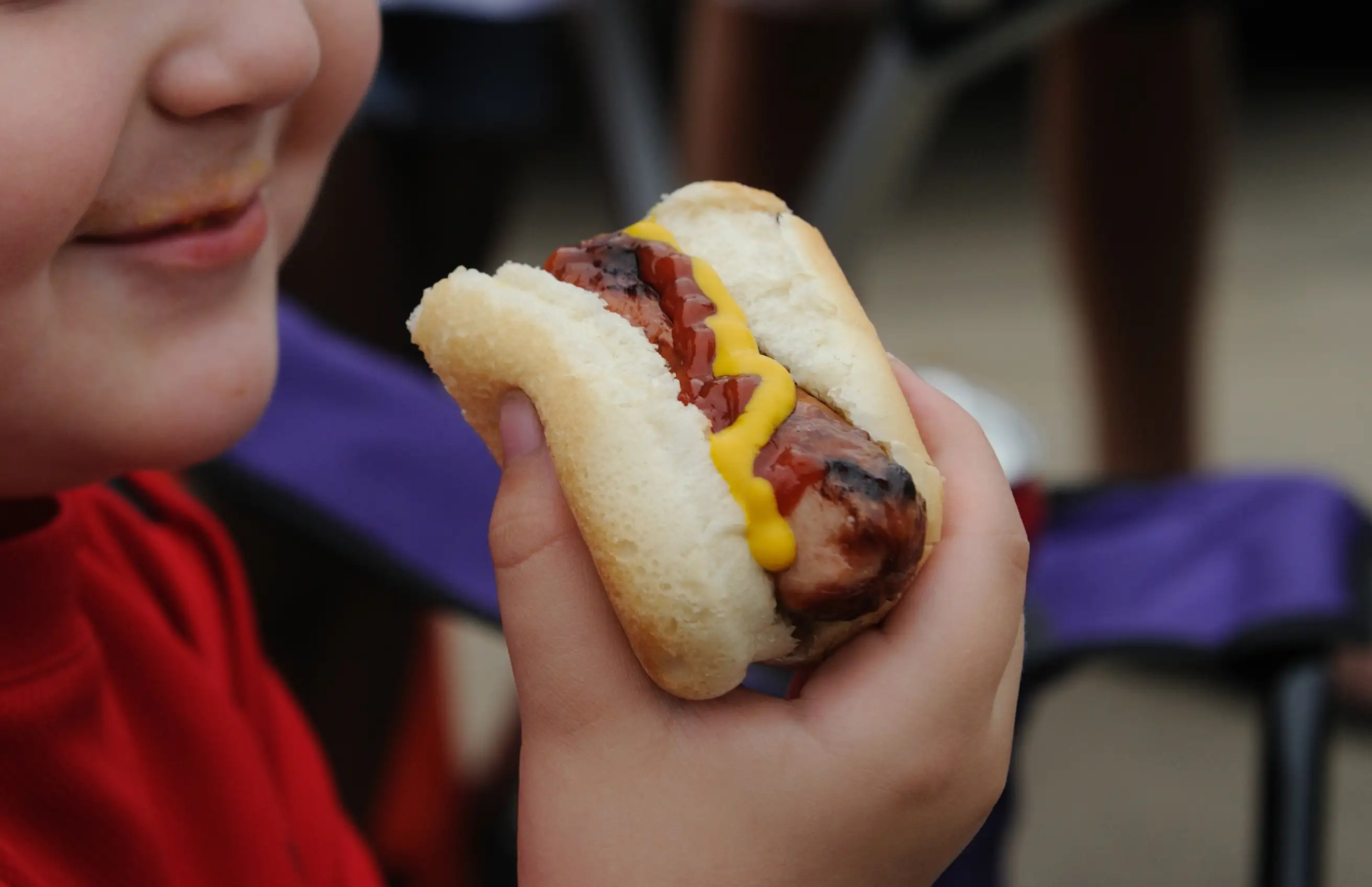 fan holding hot dog