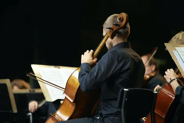 cellist in orchestra