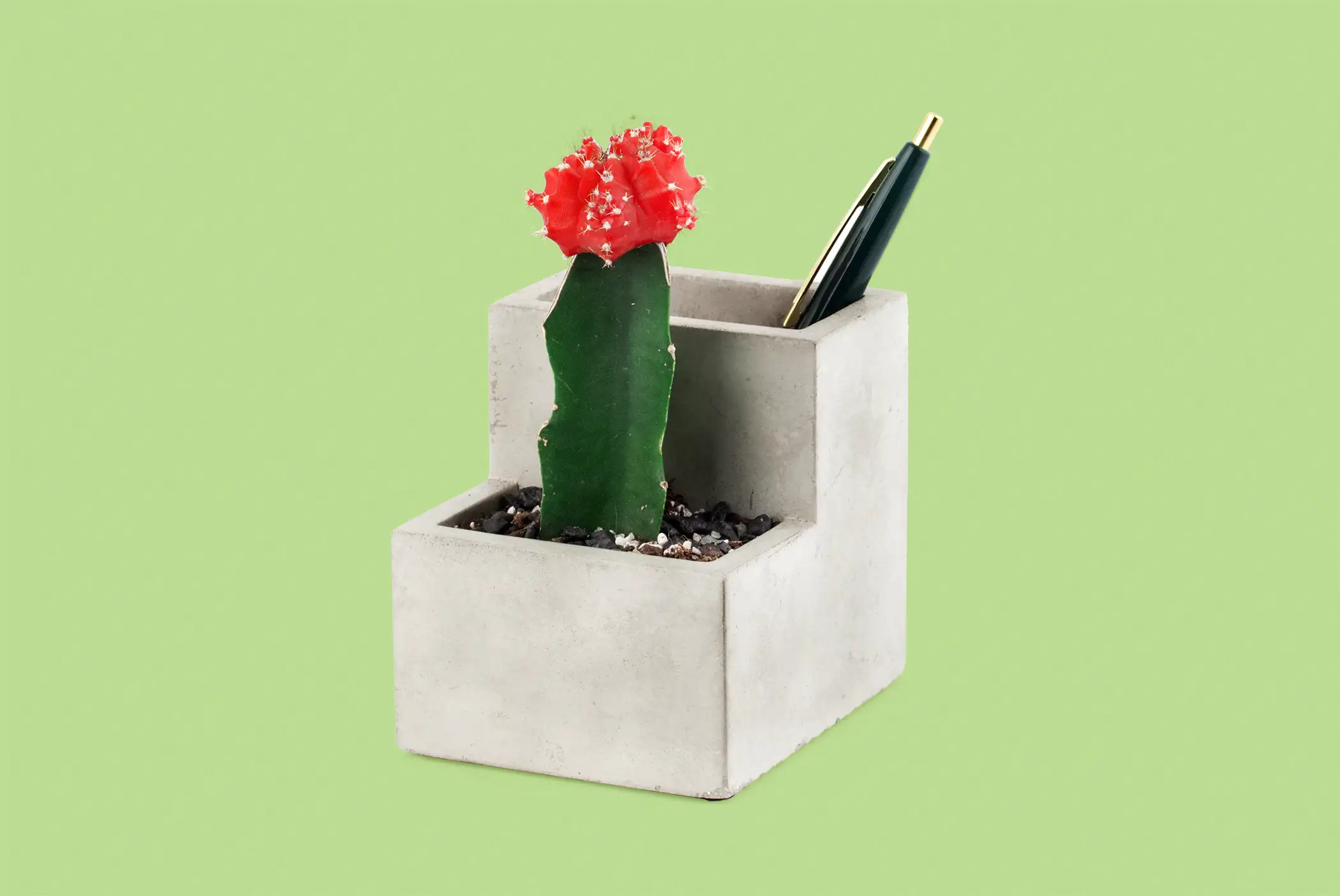 Concrete Small Planter and Pen Holder from Kikkerland.com