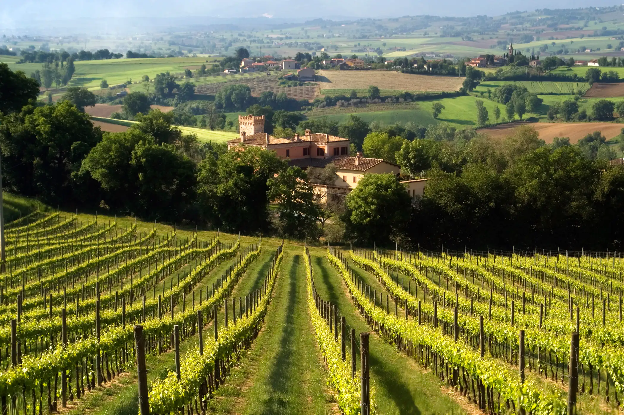 The Antonelli winery in Umbria