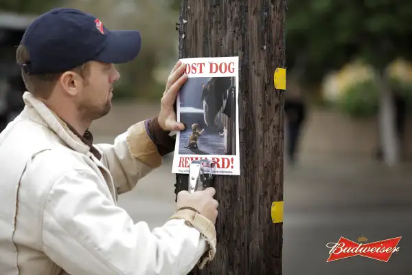 Budweiser puppy commercial