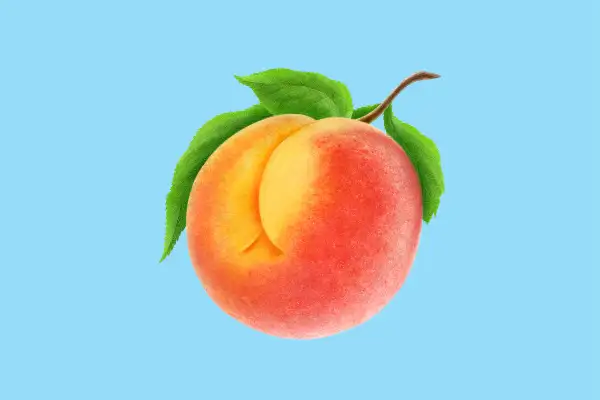 peach with butt lines