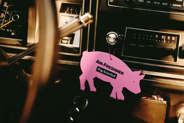 pig air freshener in car