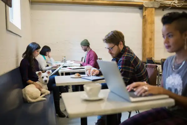 people working on laptops in coffee shop