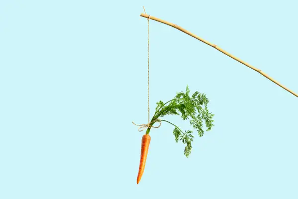 carrot on string