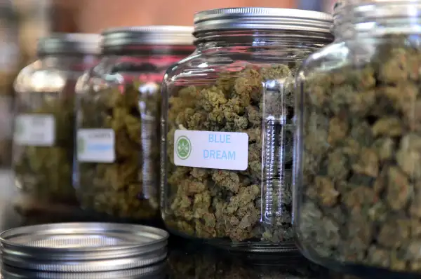 A new study finds that medical marijuana lowers prescription drug use.