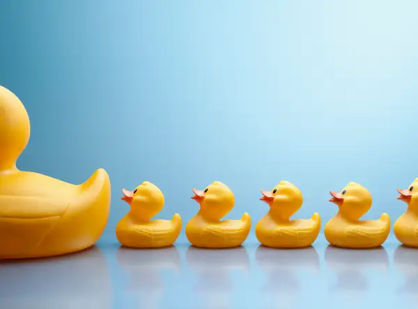 little ducks following big duck