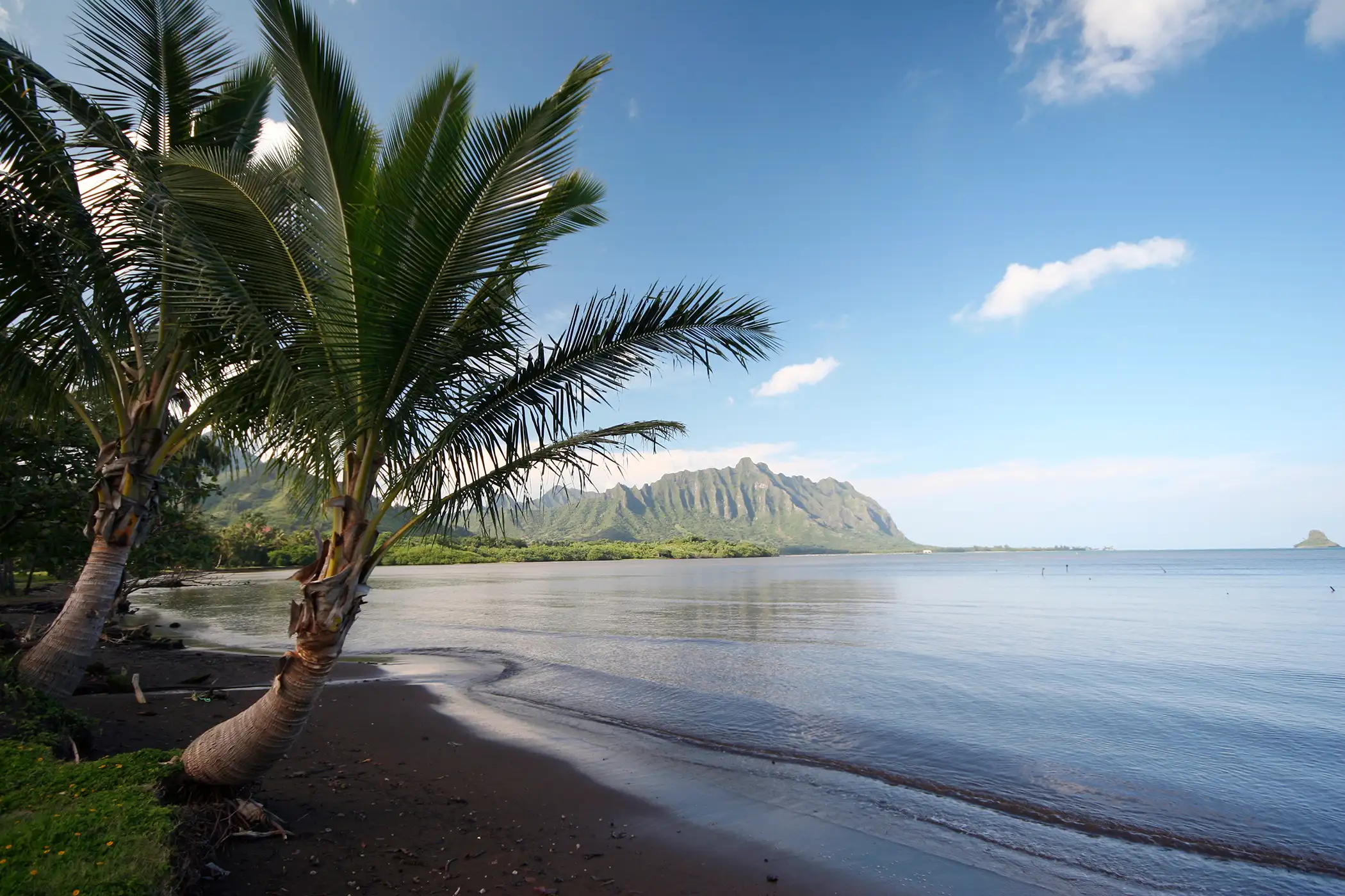 Koolaupoko, Hawaii. This southeastern district off the windward coast of Oahu has the lush valleys, gorgeous beaches, and barrier reefs that the 50th state is famous for, along with a rich history and a 3.6% unemployment rate.