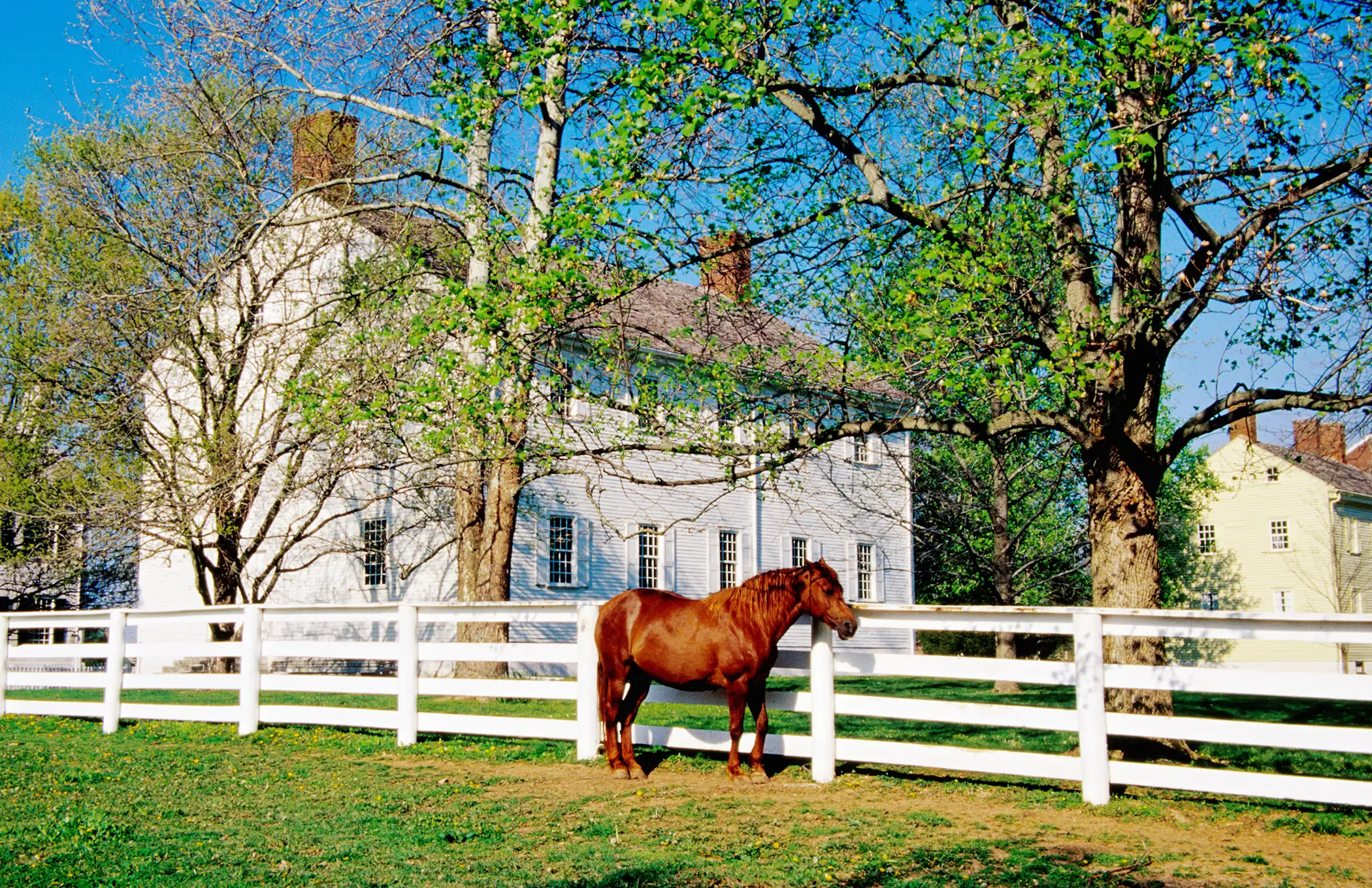Lexington, Kentucky. The Horse Capital of the World is in the center of the inner Bluegrass Region. And have we mentioned you will never have to worry about finding good bourbon again?