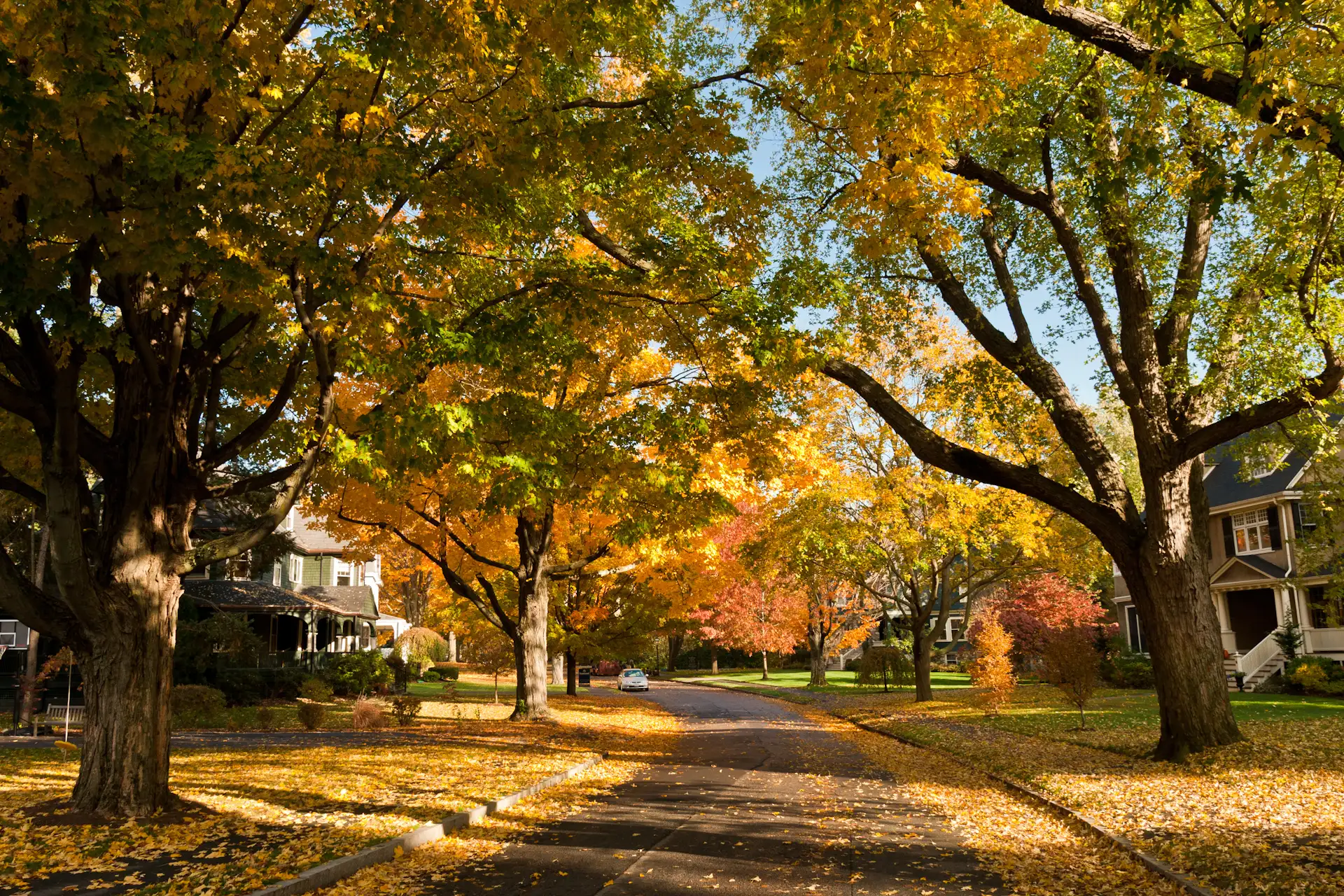 7. Newton, Massachusetts:  Fall looks good on Newton. The town's median household income is $118,799 and the median home price is $920,000.