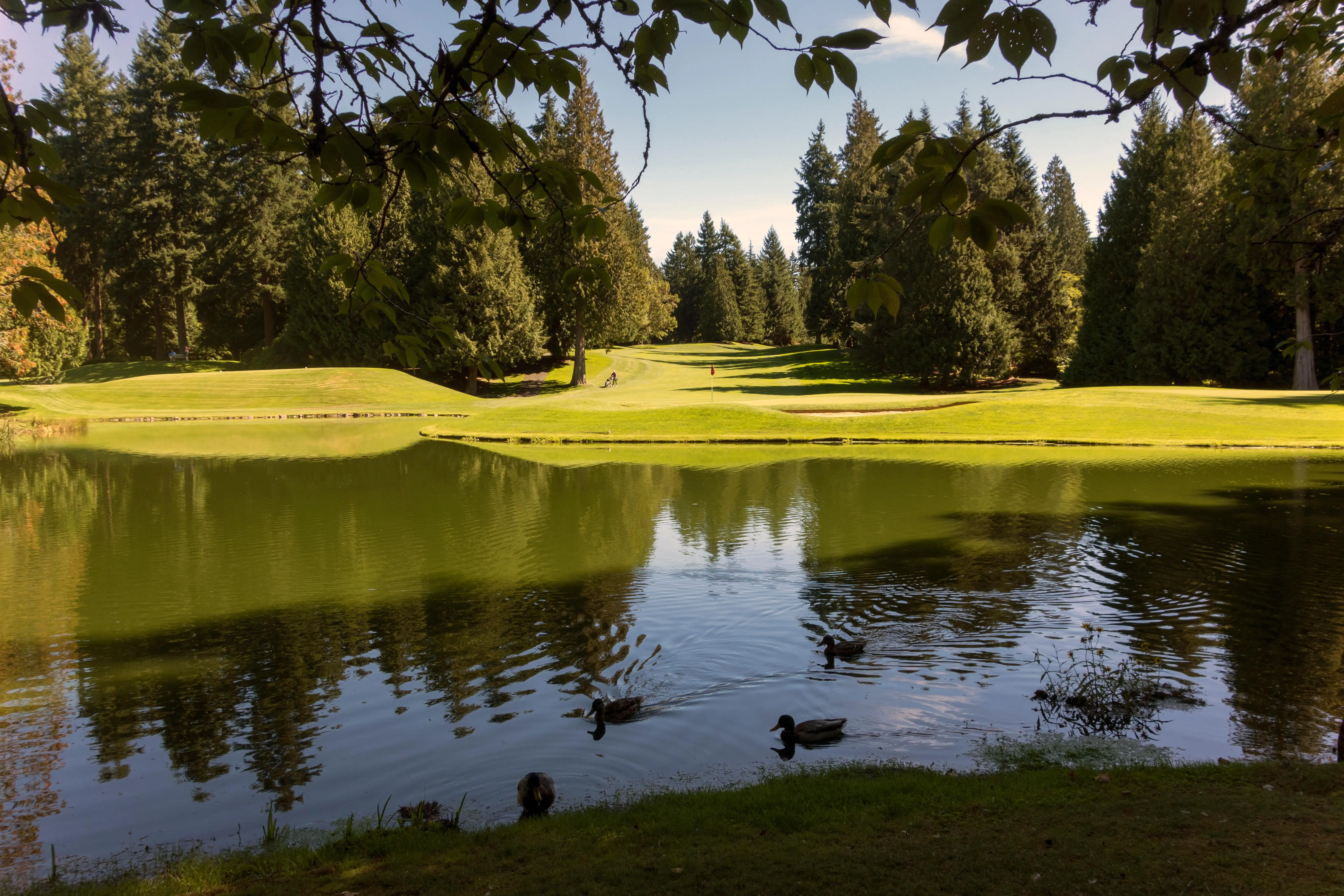 3. Sammamish, Washington: The Seattle-area town is a close third, with a $141,305 median household income. Which gives residents plenty of green to indulge in a round at the Sahalee golf course and Country Club.