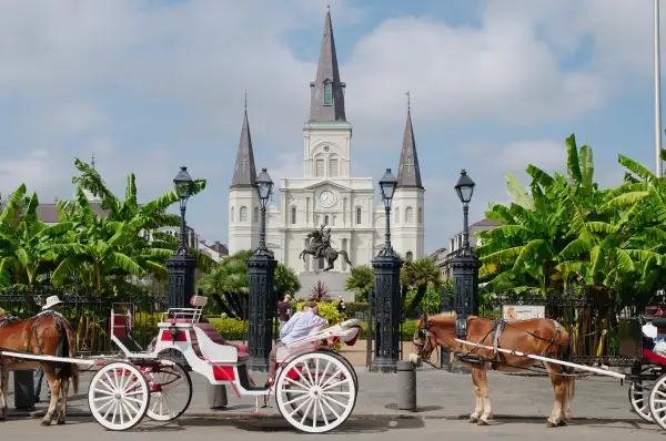 Horses and carriages outside St Louis Cathedral at Jackson Square, New Orleans