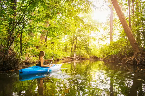 Young woman kayaking on forest river, Cary, North Carolina, USA