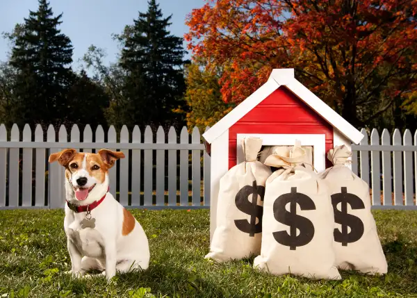 dog and money bags in doghouse
