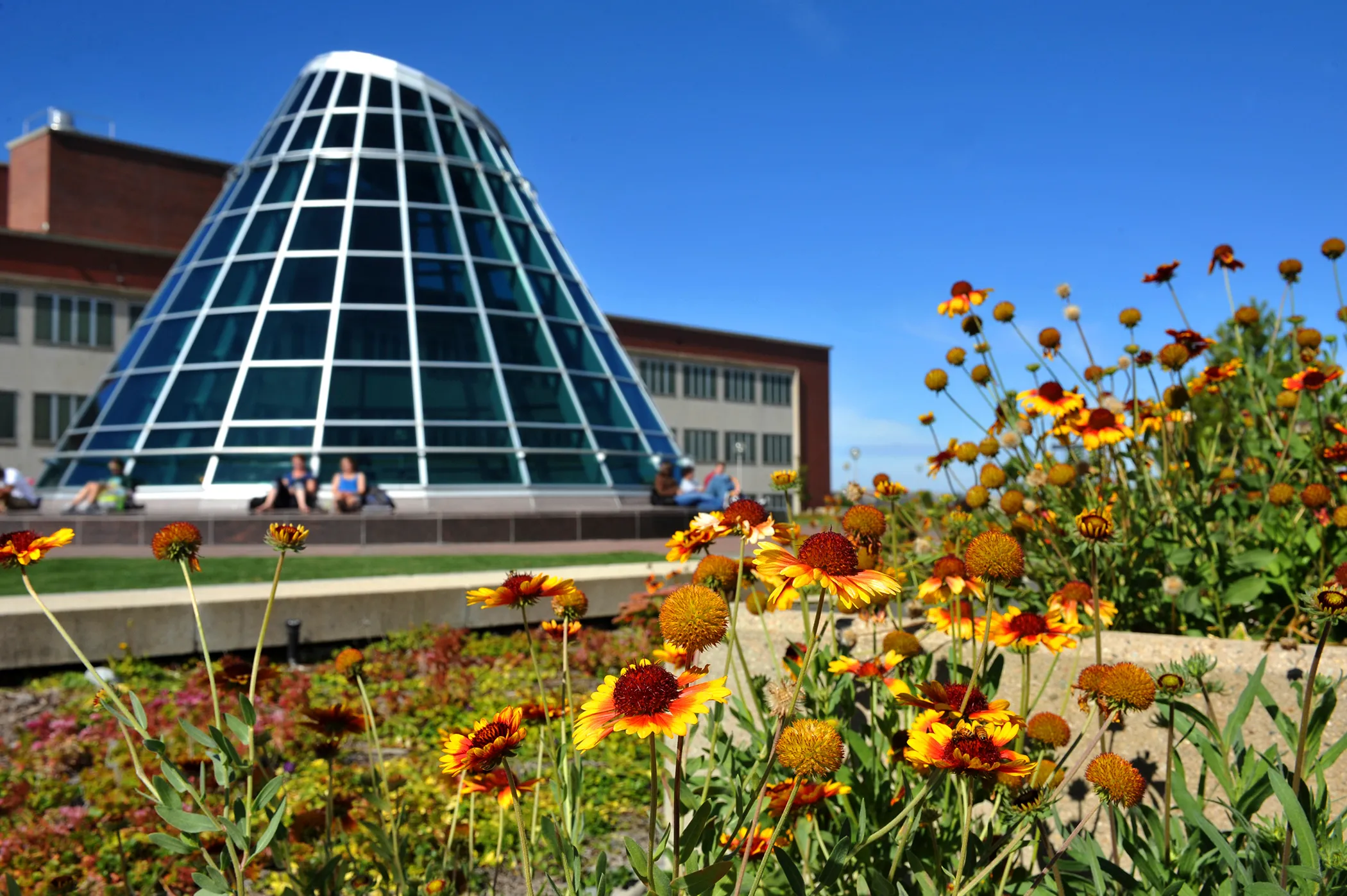 Washington State University