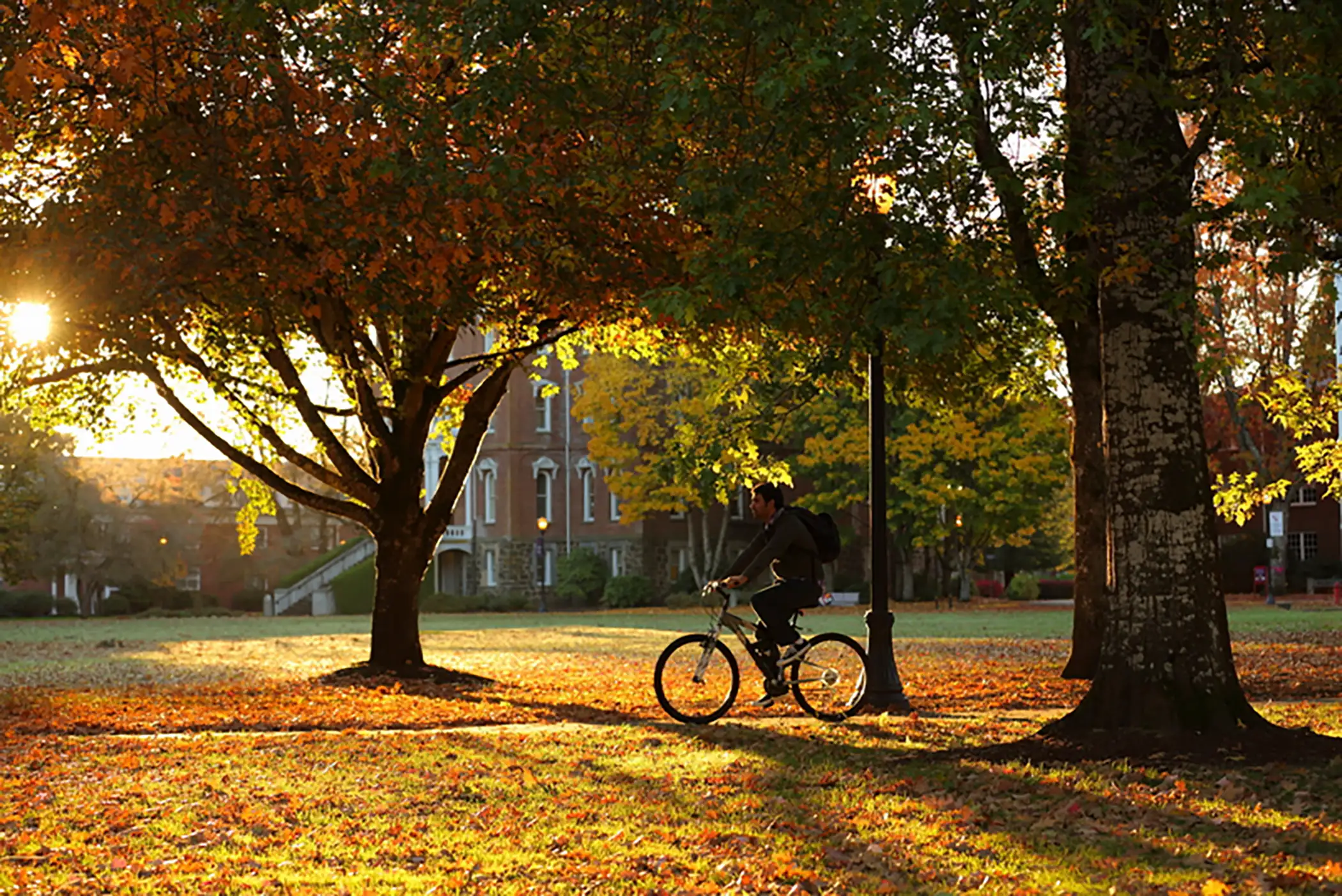 Biking on Linfield campus.