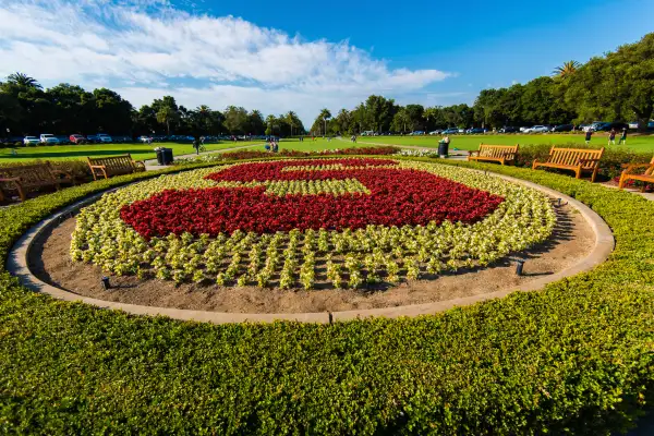 Garden flower design with Stanford University logo