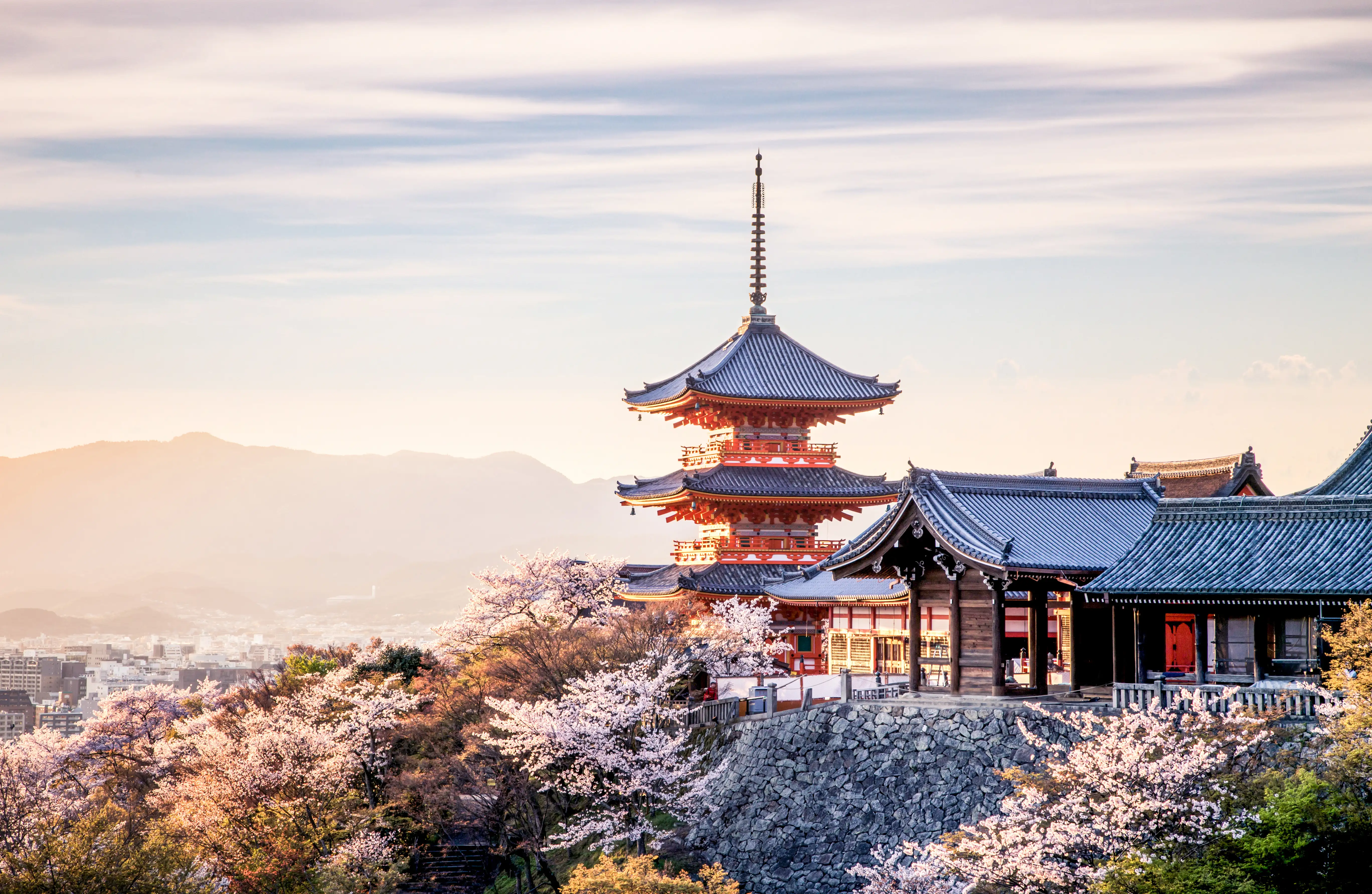 Sunset at Kiyomizu-dera Temple and cherry blossom season (Sakura) on spring time in Kyoto, Japan