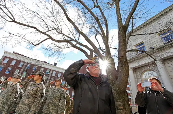 Veteran's Day parade