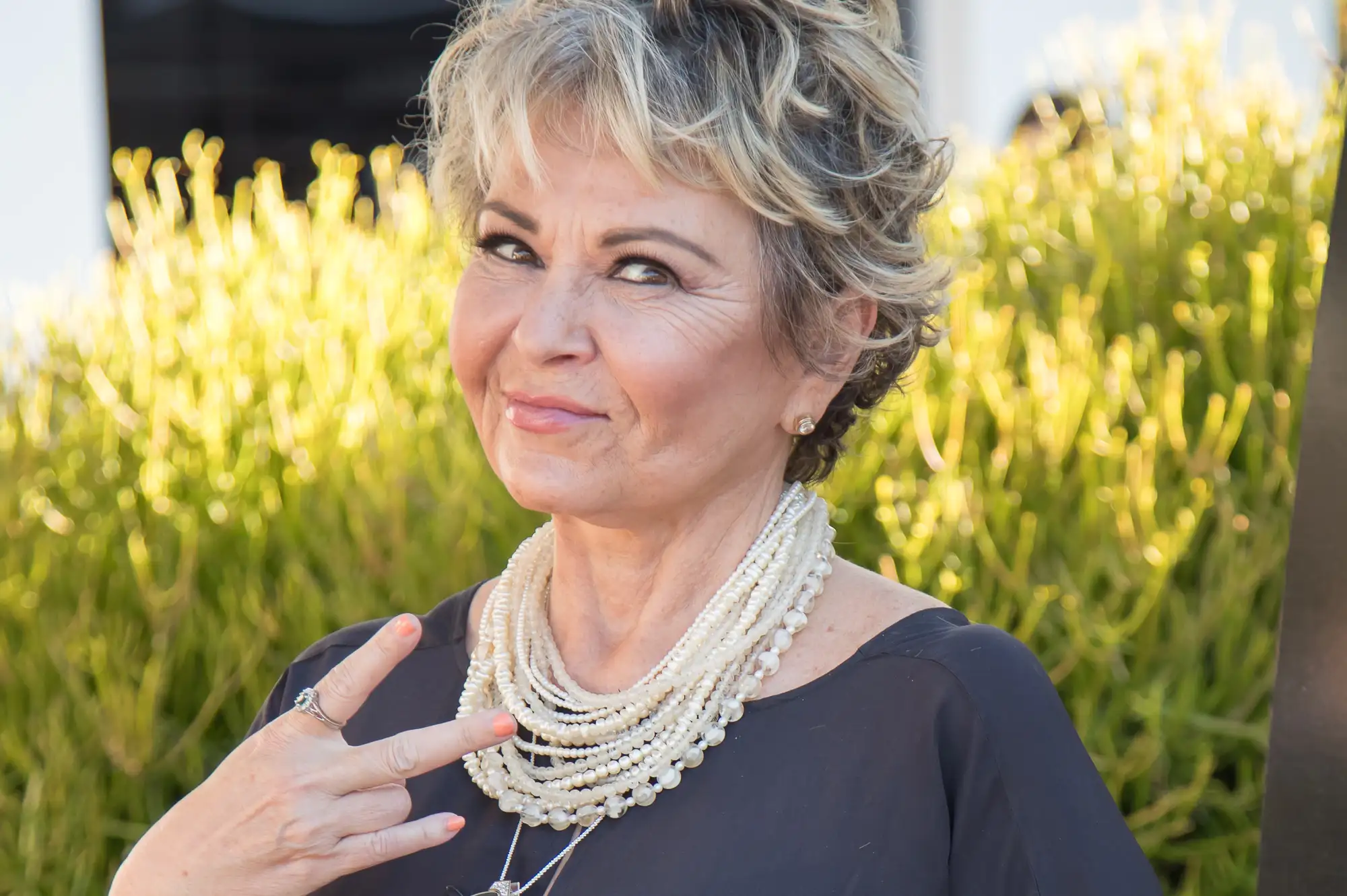 171222-cryptocurrency-rosanne-barr