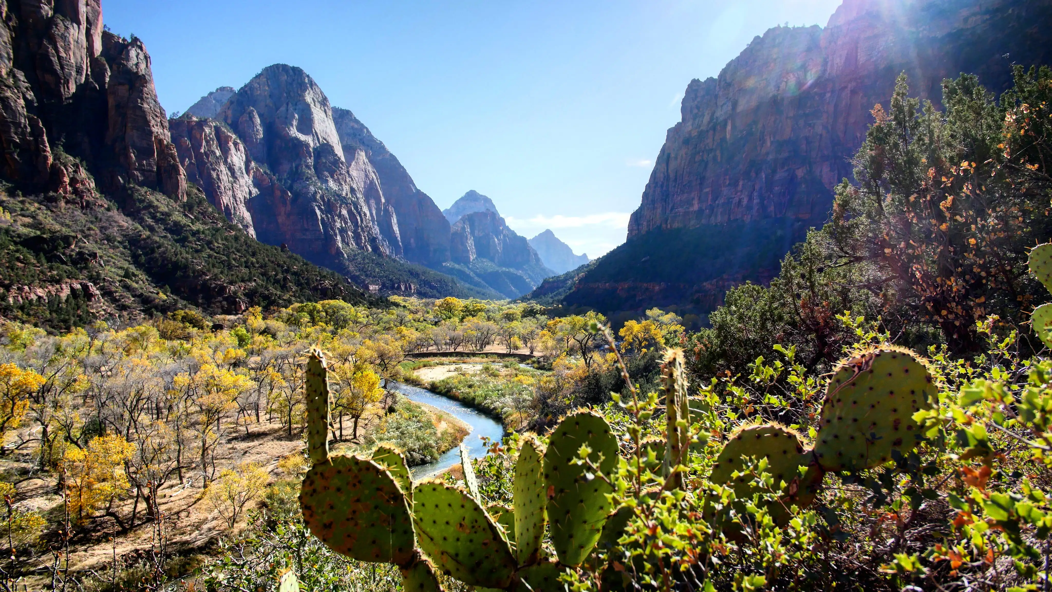 Zion National Park