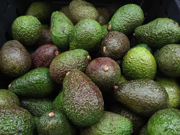 Full Frame Shot Of Avocados